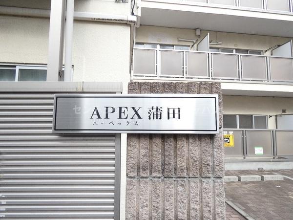 ＡＰＥＸ蒲田