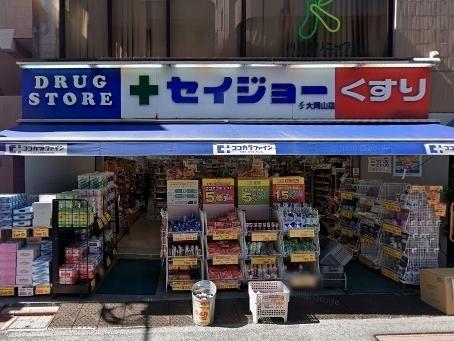 RIDGE(リッジ)(くすりセイジョー大岡山店)