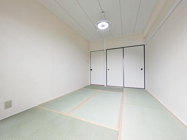 シャイニー・エイト