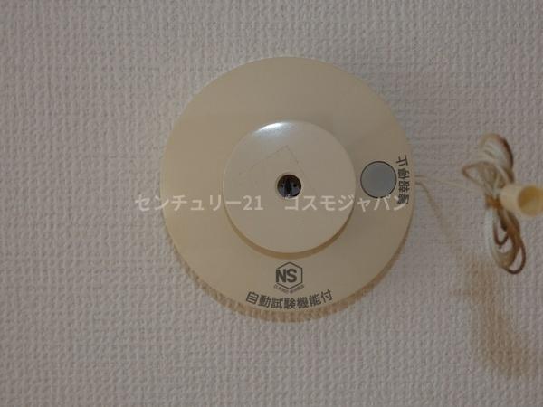 ハイムカツミ