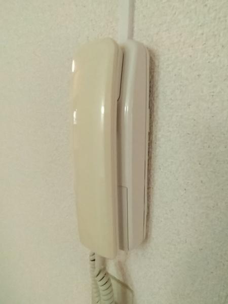 シティハイム田園
