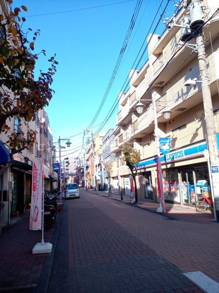 ルナパレス(ローソン東矢口二丁目店)