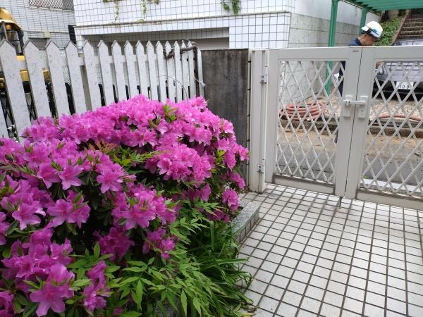 久が原ホワイトハウス