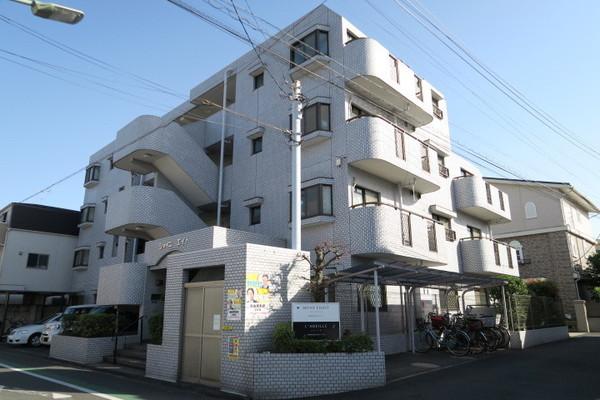 シャイニー・エイト