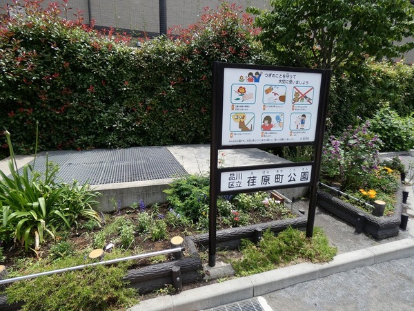 品川区中延5丁目のアパート(荏原町公園)
