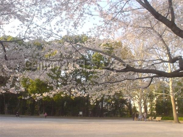 コーポリラ目黒(林試の森公園)