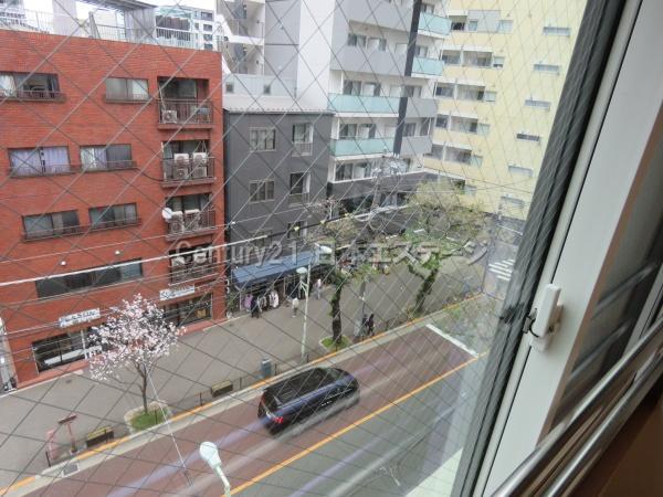 タカチホビル