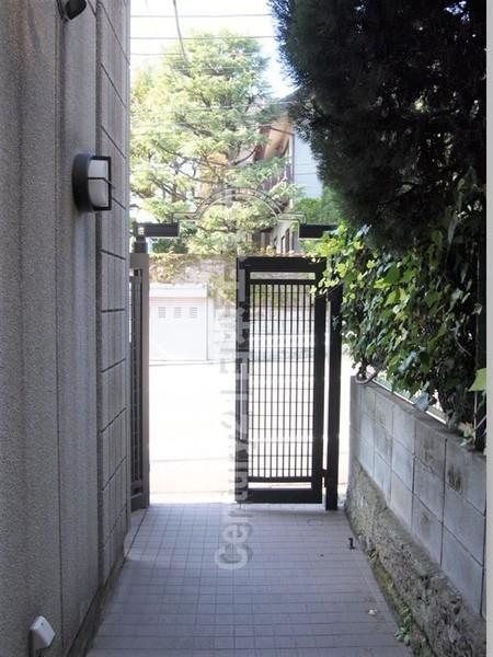 サンライト