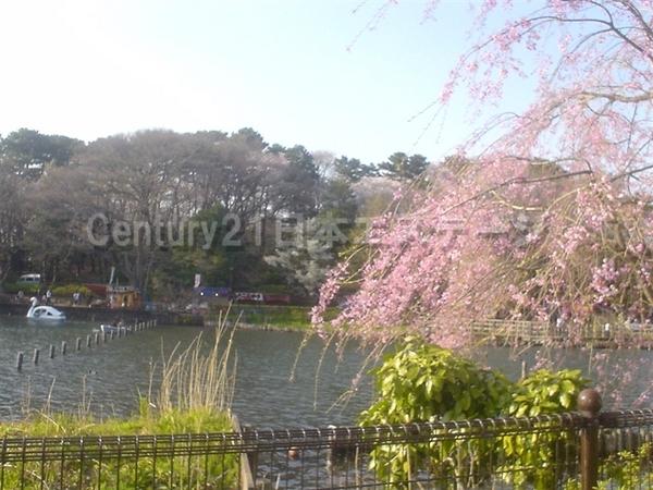 南千束コートMisola(洗足池公園)