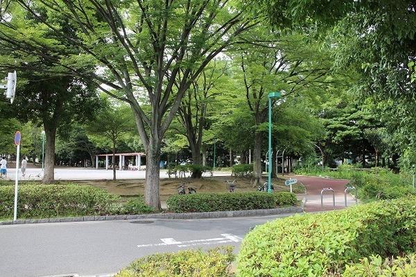 パークアベニュー(中央公園)