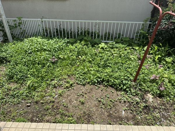 西堀貸家