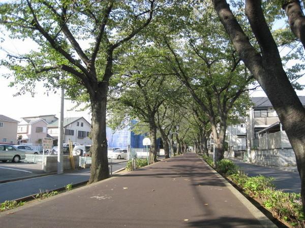 あかつきコーポ(花と緑の散歩道)