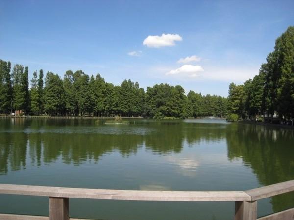 あかつきコーポ(別所沼公園)
