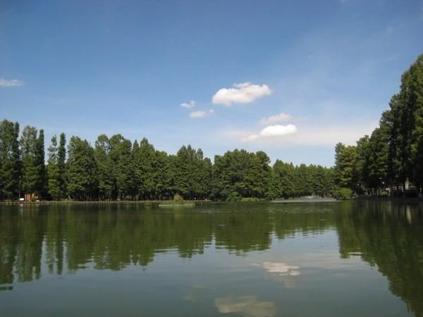 ミキモトビル(別所沼公園)