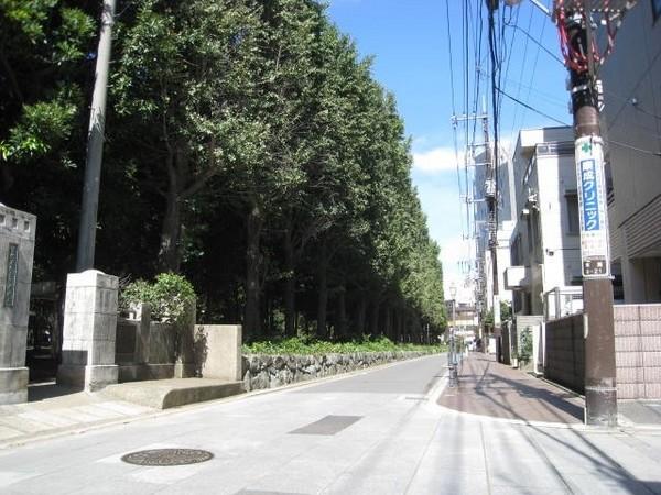 ときわグリーンコート(駅までの側道)