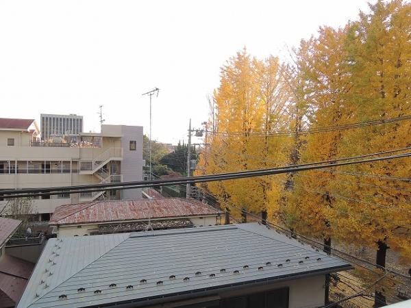 ときわグリーンコート