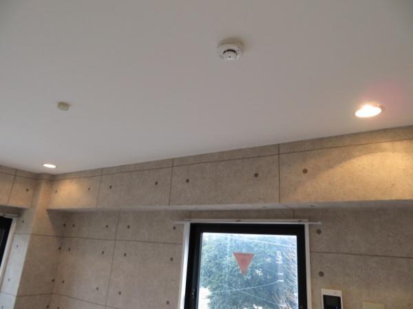 ときわグリーンコート