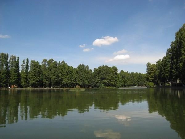 ロイヤルガーデン(別所沼公園)