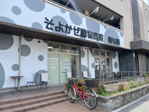 ロイヤルスター(そよかぜ動物病院)
