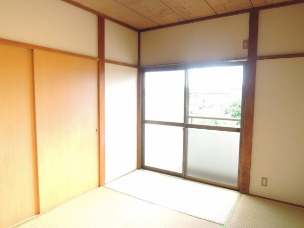 プリムローズ・トモ