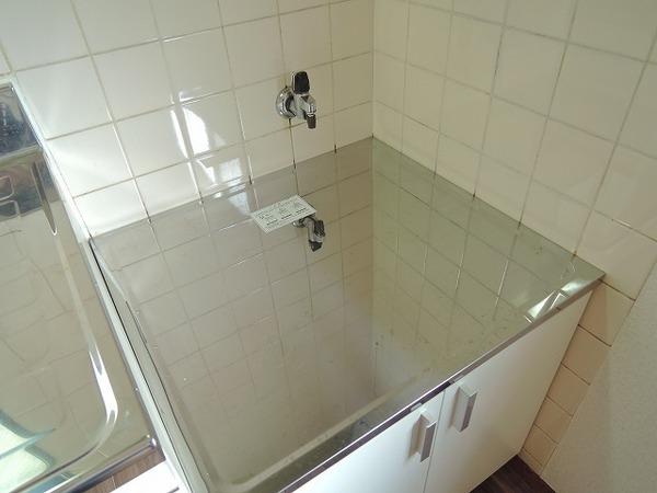 プリムローズ・トモ