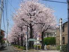 ネスト中浦和(花と緑の散歩道)