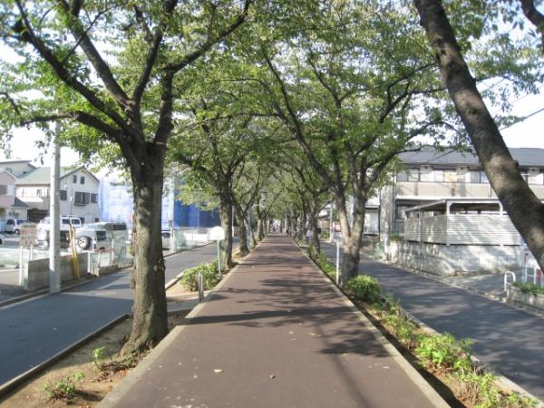 kocho8(花と緑の散歩道)