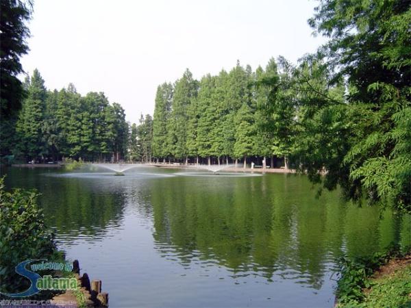 コープ野村別所(別所沼公園)