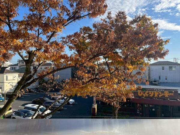 マルショウハイツ