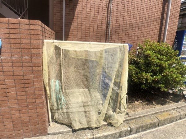 グローリー立花