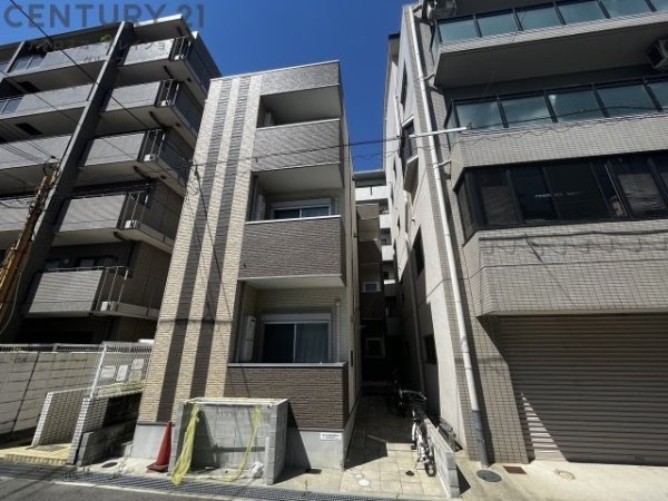 Ａ.山法師
