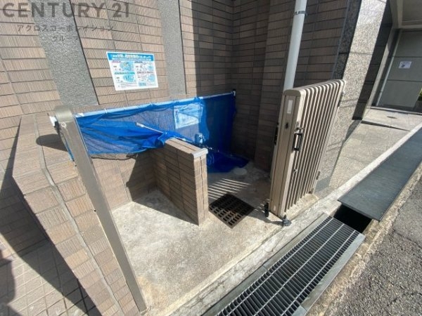 サウスフレア