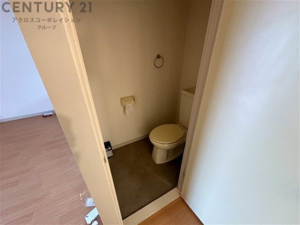 エルディムコスモ1
