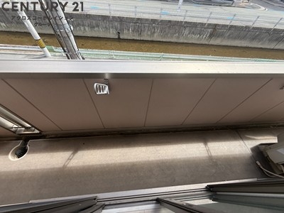 ルクティア雅