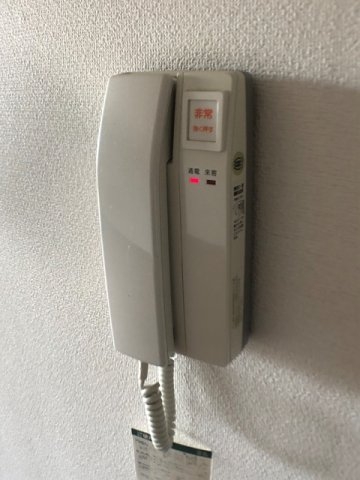 ハーゲンベルグ立花
