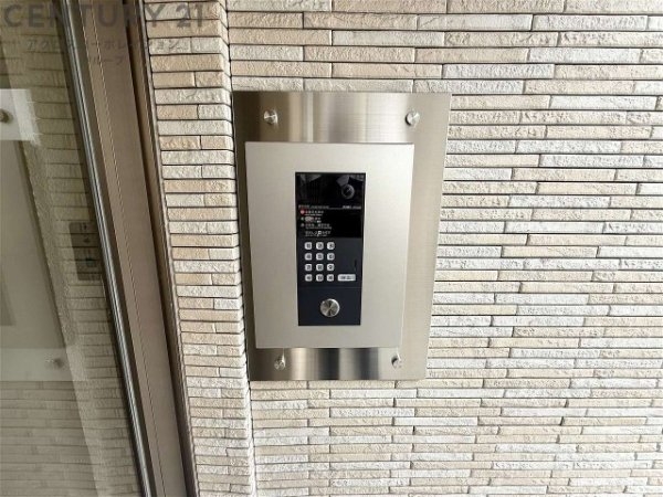 プティソレイユ
