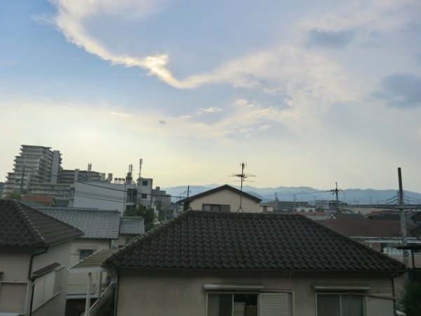 フリーダム中村