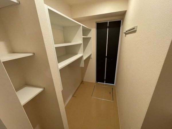 セレンディピティ