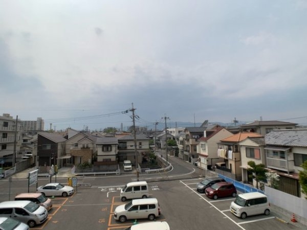 ピュア立花