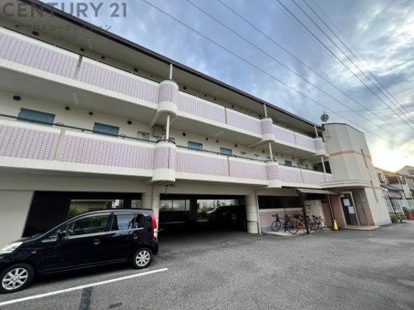 セレーノ稲野