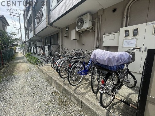 パープルウエスト