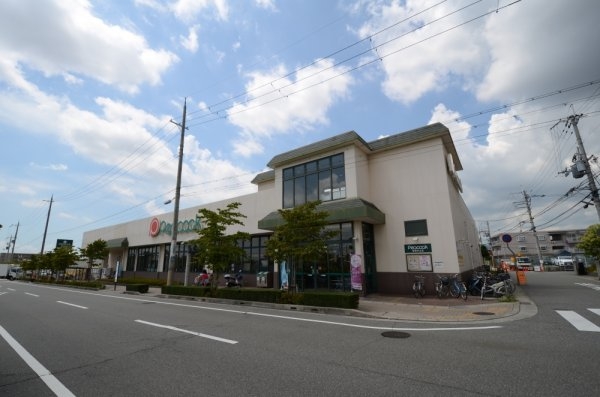ドミール中山(ピーコックストア宝塚中山店)
