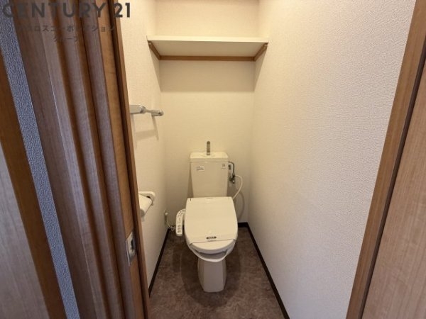 メルヴェイユドミール