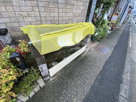 ボナール