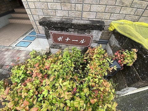 ボナール
