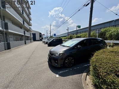 エクセラン