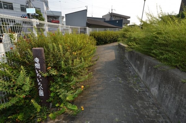 ONLY　ONE小花2(寺畑いちいち公園)