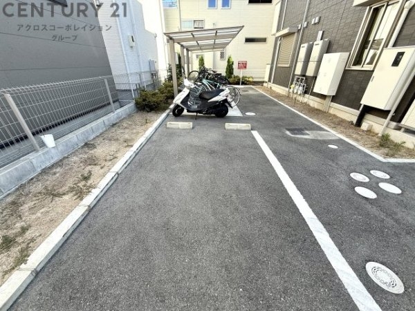 ルミナーレ
