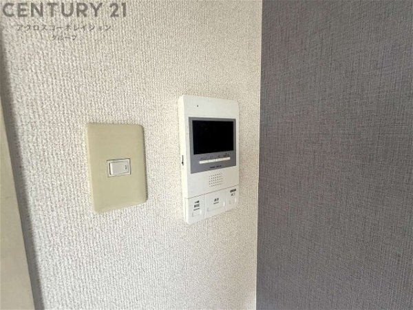 プティソレイユ