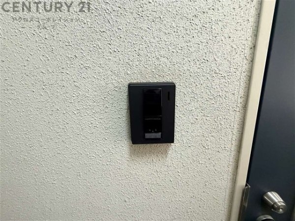プティソレイユ